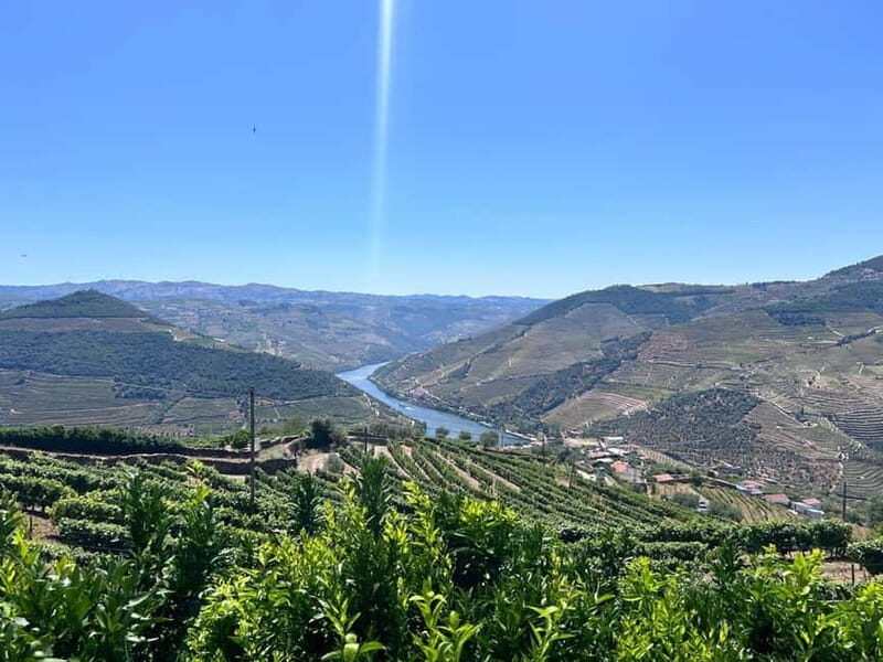 Porto: Douro Valley Tour with 3 Wineries and Lunch - Getting to the valley: Trindade to N222 viewpoints by van