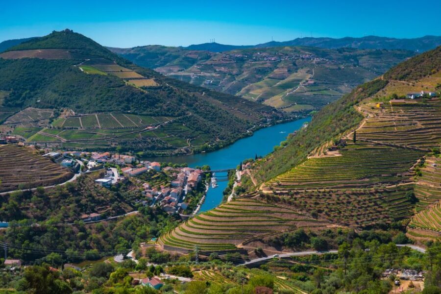 Porto: Douro Valley Tour with Lunch, Boat Cruise & Tastings - Price and value: why $82 can work (if you want a lot packed in)