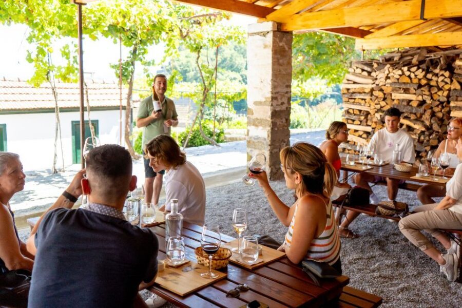 Porto: Douro Valley Tour with Lunch, Boat Cruise & Tastings - Wine tastings after lunch: how the day keeps stacking flavors