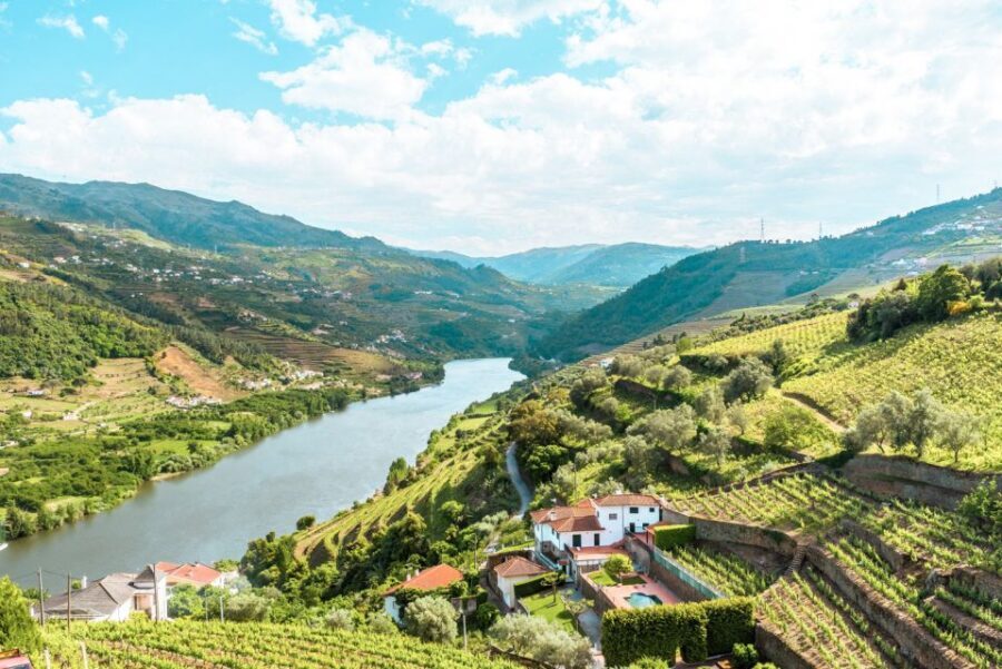 Porto: Douro Valley Tour with Wine Tasting, Cruise and Lunch - Key moments that make this tour worth your day