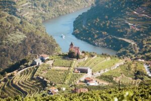 Porto: Douro Valley Tour with Wine Tasting, Cruise and Lunch - Two winery stops and Port tastings: what you’ll actually experience