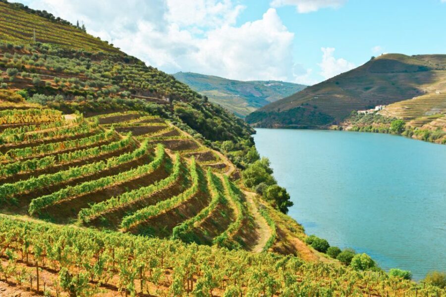 Porto: Douro Valley Tour with Wine Tasting, Cruise and Lunch - Price and value check: is $76 a fair deal?