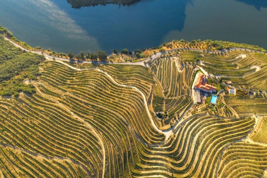 Porto: Douro Valley Tour with Wine Tasting, Cruise and Lunch - Tips so you feel good on the day (and enjoy the wine)