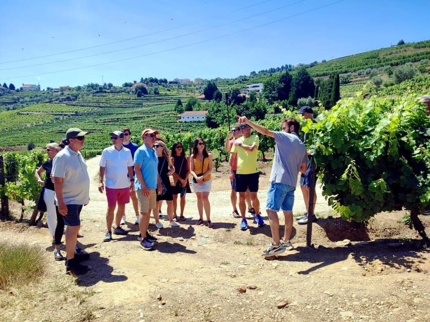 Porto: Douro Valley Vineyards Tour with Lunch & River Cruise - Key things to know before you go