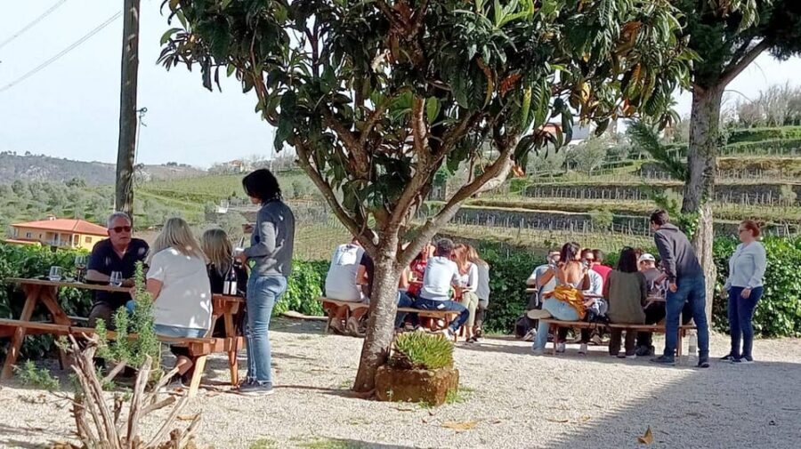 Porto: Douro Valley Vineyards Tour with Lunch & River Cruise - Pinhão river cruise: calm views from the Douro