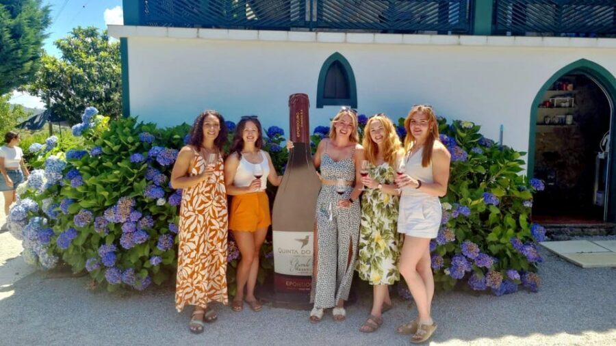 Porto: Douro Valley Vineyards Tour with Lunch & River Cruise - Comfort, group size, and what a long drive really feels like