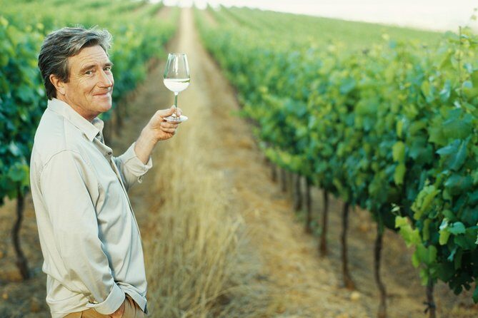Porto: Douro Valley Wine Tour Including Lunch - From central Porto to UNESCO Douro country in one long day