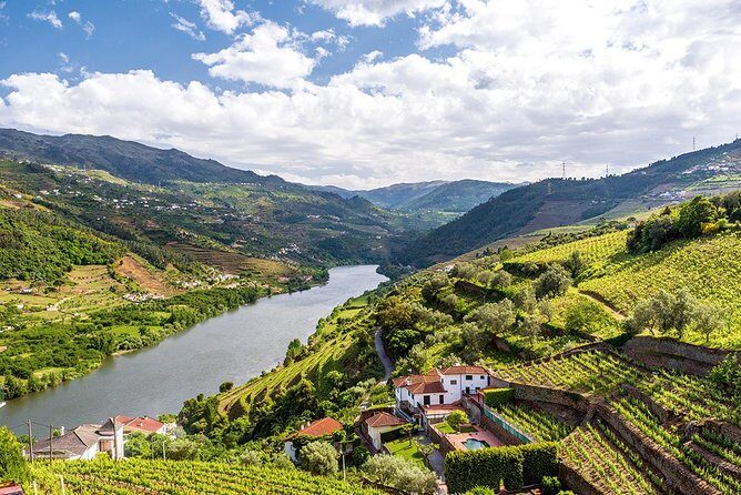 Porto: Douro Valley Wine Tour Including Lunch - Second winery focus: fortified Port, terroir comparisons, and big flavors