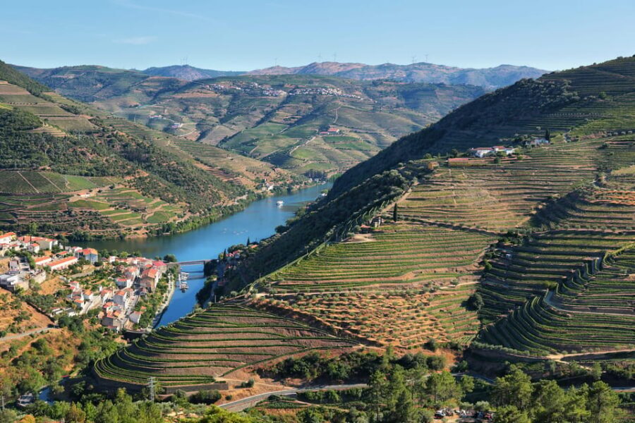 Porto: Douro Valley Wine Tour with a Sommelier & Boat Trip - Small-group Douro day: why it feels different with max 8