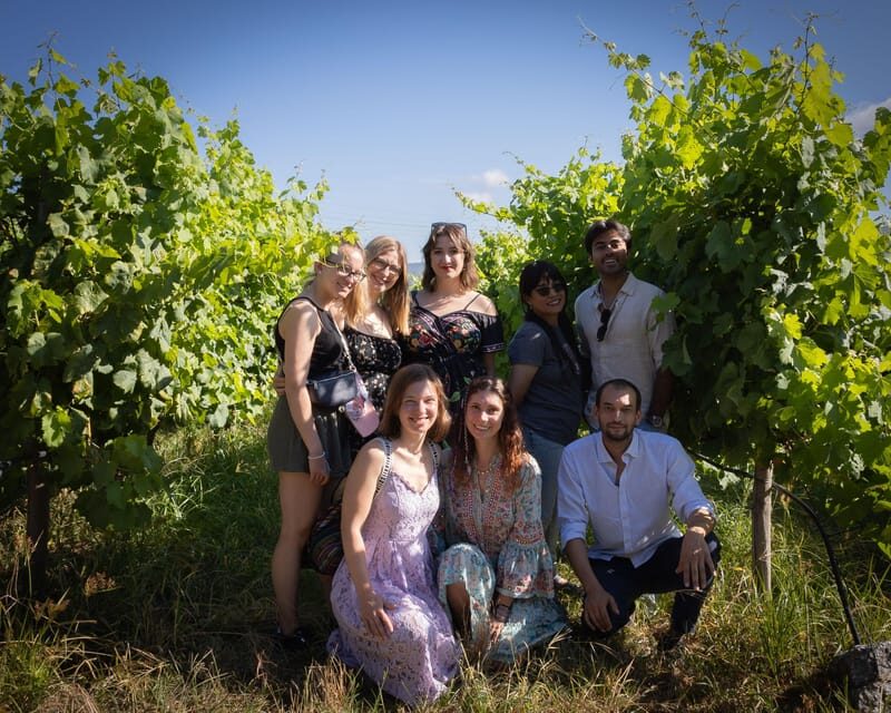 Porto: Douro Valley Wine Tour with a Sommelier & Boat Trip - FAQ