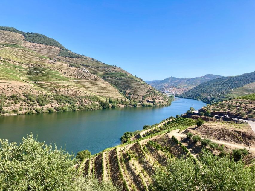 Porto: Douro Valley Wine Tour with Tastings, Boat, and Lunch - N222 Scenic Drive and a Morning Break That Keeps the Day Moving