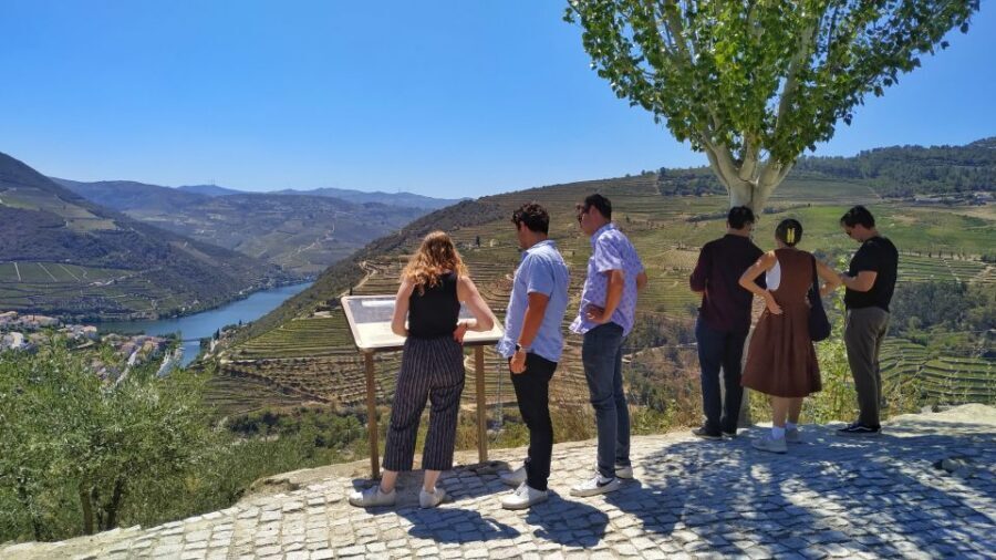 Porto: Douro Valley Wine Tour with Tastings, Boat, and Lunch - The River Cruise From Pinhão: Why This View Changes Everything
