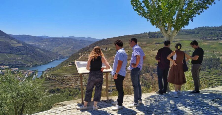 Porto: Douro Valley Wine Tour with Tastings, Boat, and Lunch - Timing and Photo Stops: What the 8.5 Hours Feels Like