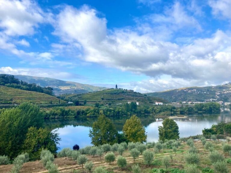 Porto: Douro Valley Wine Tour with Tastings, Boat, and Lunch - The First Winery Stop: Port Wine History, Then Tasting (Including Vintage)