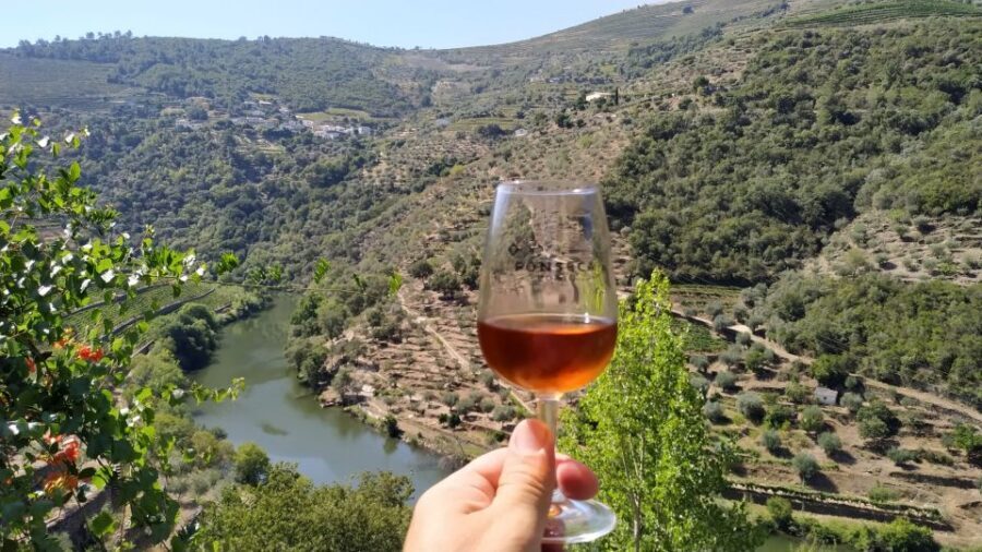Porto: Douro Valley Wine Tour with Tastings, Boat, and Lunch - What You Pay: Value for Port Tastings, Lunch, and a Boat Cruise