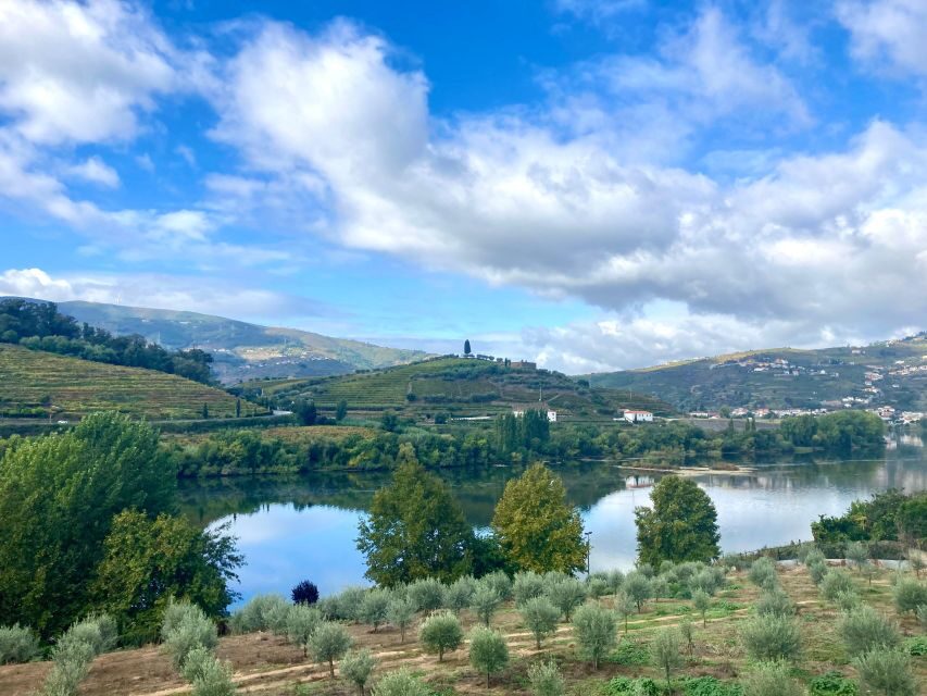 Porto: Douro Valley Wine Tour with Tastings, Boat, and Lunch - The First Winery Stop: Port Wine History, Then Tasting (Including Vintage)