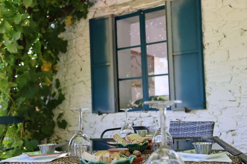 Porto: Douro Valley with Small Wineries, Lunch and Boat Tour - Value check: does $111 feel fair for what you get?