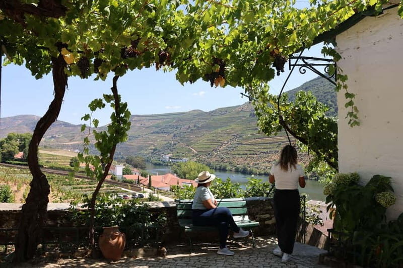 Porto: Douro Valley with Small Wineries, Lunch and Boat Tour - N222 scenic drive: the famous road view stop you can’t fake