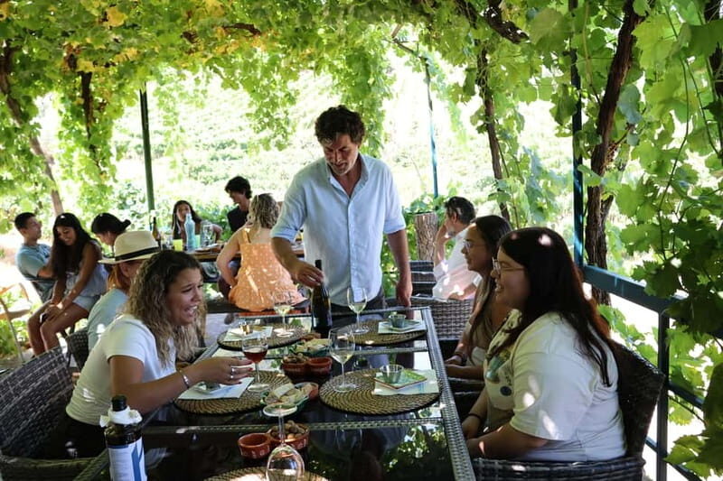 Porto: Douro Valley with Small Wineries, Lunch and Boat Tour - Wine buying and shipping: plan for the extra cost