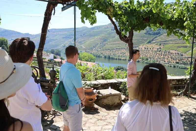Porto: Douro Valley with Small Wineries, Lunch and Boat Tour - Guides and group size: the difference between a good day and a great day