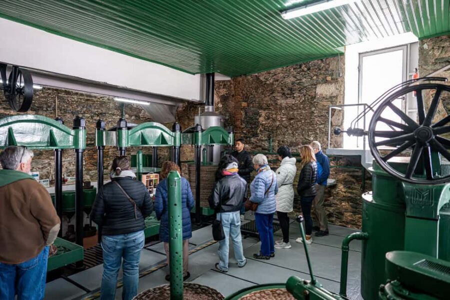 Porto: Douro Wine Tour with Lunch and River Cruise - What You’ll Learn Without Getting Trapped in a Lecture