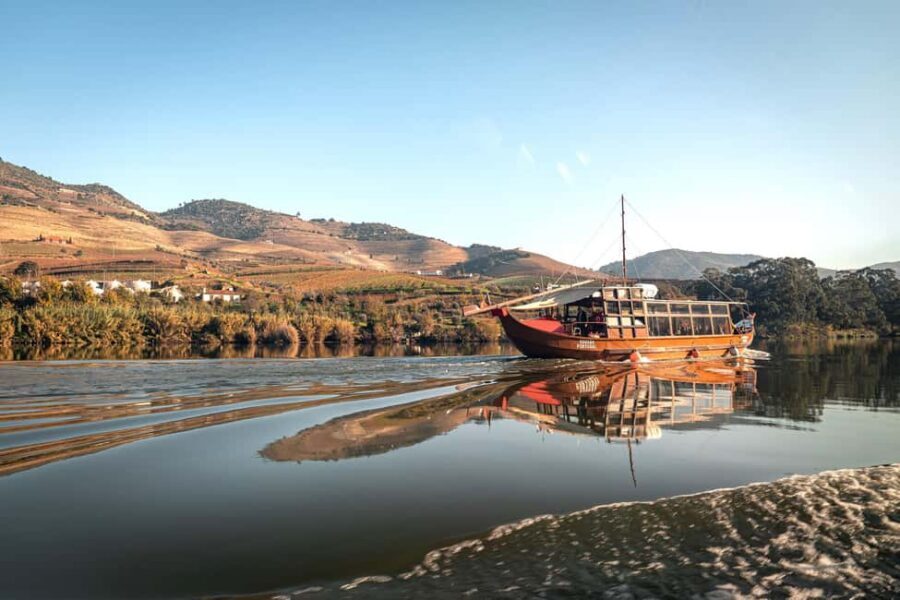 Porto: Douro Wine Tour with Lunch and River Cruise - Why This Douro Day Trip Feels Efficient (and Not Rushed)