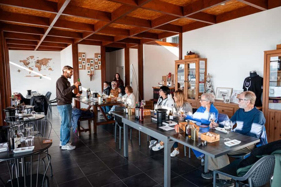 Porto: Douro Wine Tour with Lunch and River Cruise - Pinhão Lunch: Traditional Food in a Douro Setting