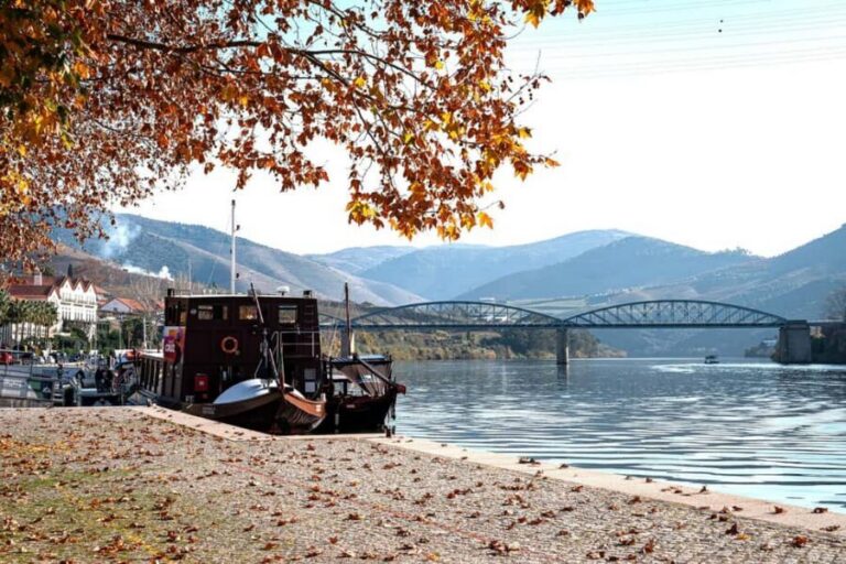 Porto: Douro Wine Tour with Lunch and River Cruise - Porto Pickup and the Scenic N222 Road Stretch