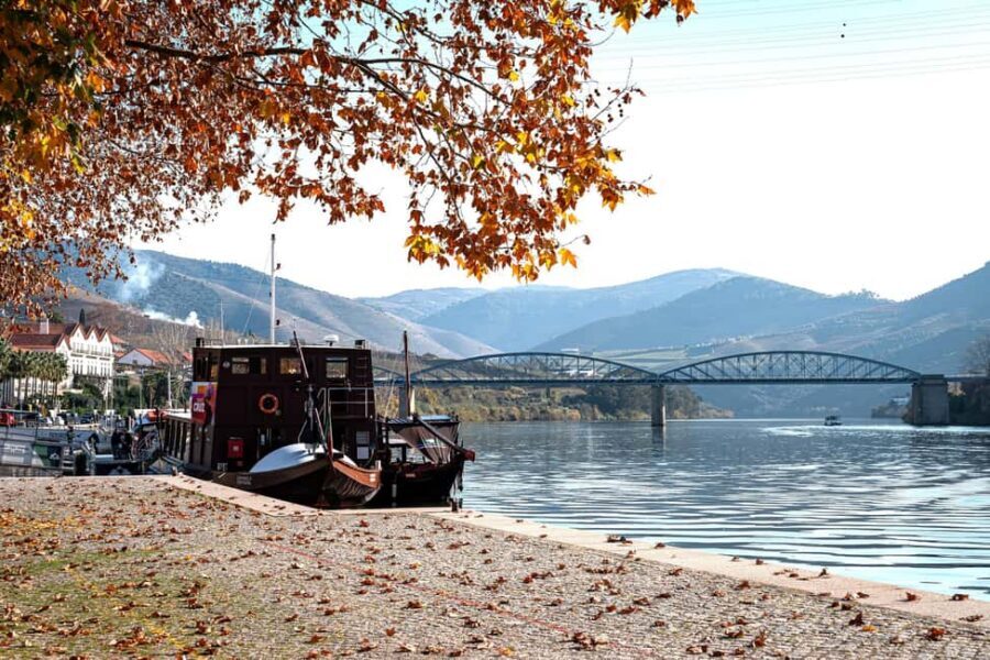 Porto: Douro Wine Tour with Lunch and River Cruise - Porto Pickup and the Scenic N222 Road Stretch