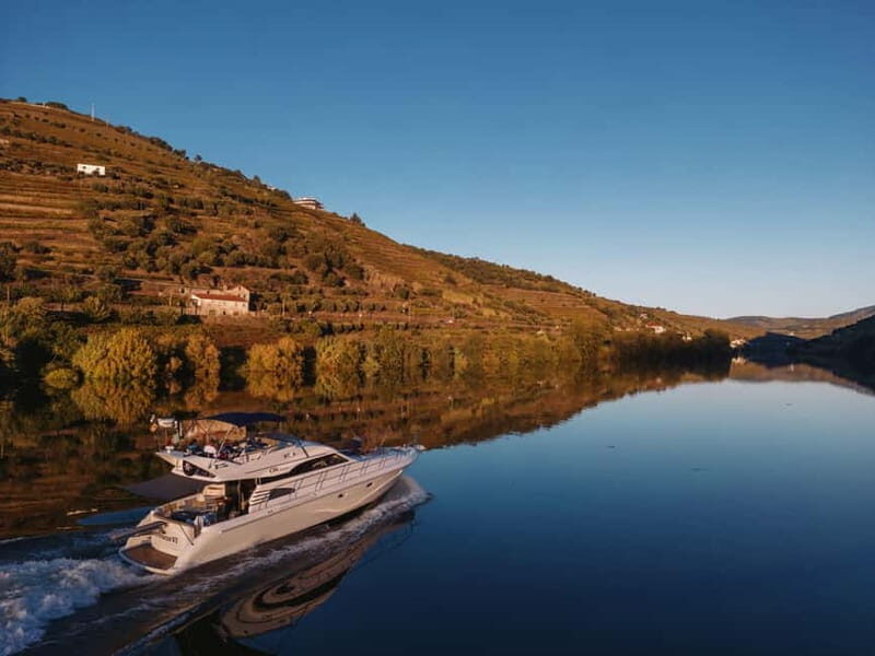Porto: Full Day Douro River Cruise from Porto to Régua - Meeting Point Reality: No Hotel Pickup, Shop 6 Matters