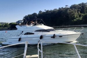 Porto: Luxury Yacht Cruise on the Douro River and Estuary Reserve - Marina da Afurada Start: Getting On Board Without Stress