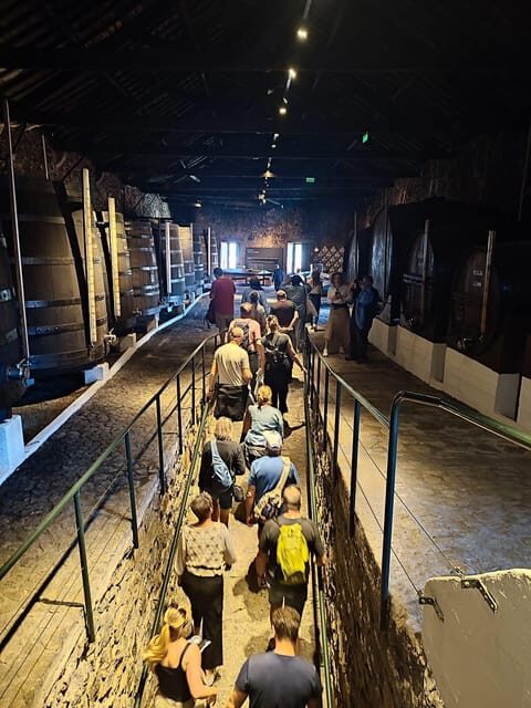 Porto: Port and Douro Wine Walking Tour with 9 Tastings - Stop 1: Vasques de Carvalho and Your First Taste of the Styles