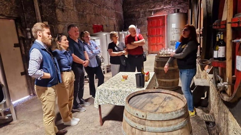 Porto: Premium Douro Valley Small-Group Tour, Cruise & Lunch - Sabrosa winery stop: start with orientation and a real tasting block