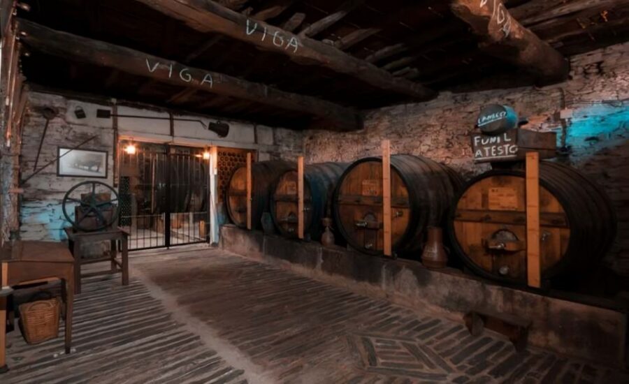 Porto: Private Douro Valley 4x4 Tour with Lunch - Winery Time: Lunch Paired With Sparkling Wine, DOC, and Moscatel
