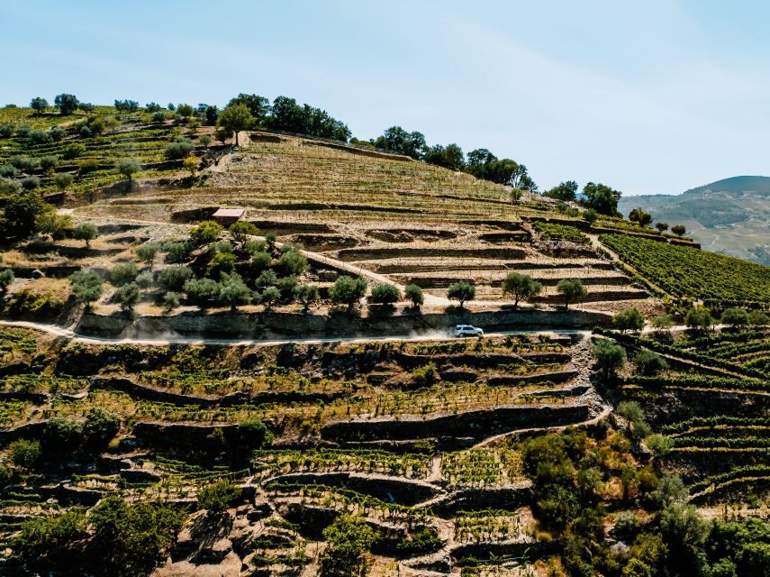 Porto: Private Douro Valley 4x4 Tour with Lunch - The Private Boat Tour: A River-Level View That Changes Everything