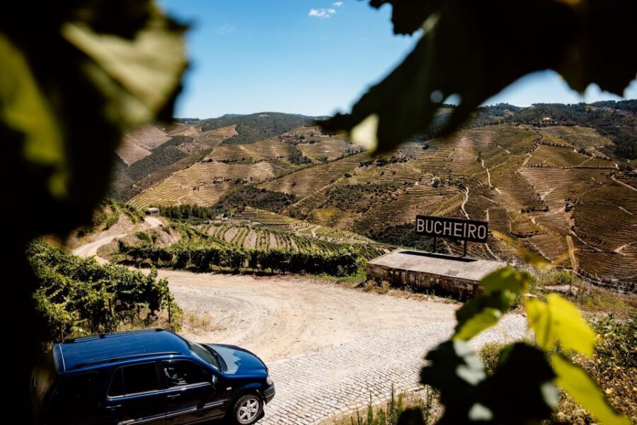 Porto: Private Douro Valley 4x4 Tour with Lunch - Guide Energy: Carlos, Mr. Oliveira, and Ricardo Turn Driving Into Stories