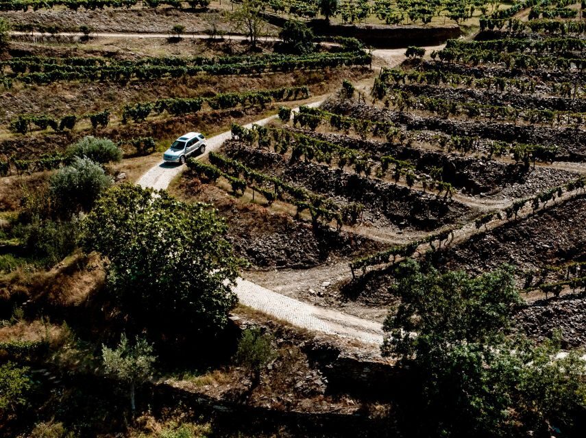 Porto: Private Douro Valley 4x4 Tour with Lunch - Price and Value at $294 Per Person