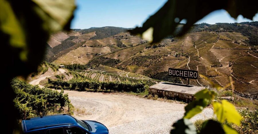 Porto: Private Douro Valley 4x4 Tour with Lunch - 4x4 Trails and Vineyard Viewpoints Without the Usual Detours