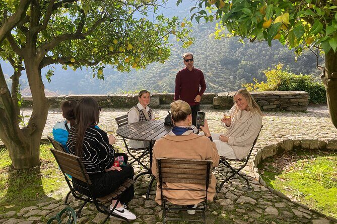 Porto: Private Douro Valley All Inclusive: Tastings, Lunch & Boat - Peso da Régua coffee stop: a 20-minute reset