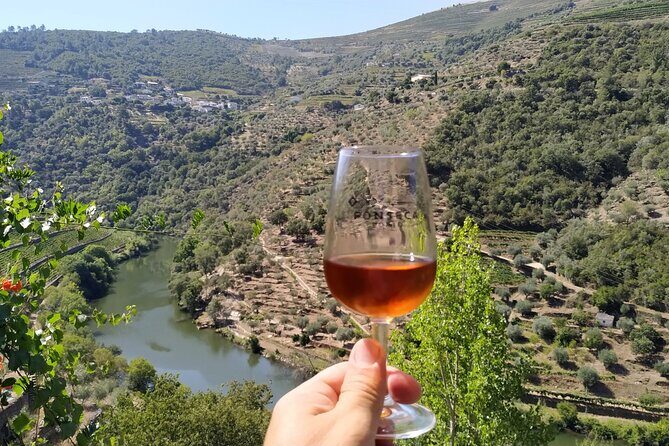 Porto: Private Douro Valley All Inclusive: Tastings, Lunch & Boat - The Douro Valley port tasting at a small quinta