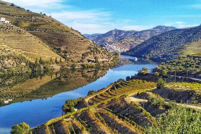 Porto: Private Douro Valley All Inclusive: Tastings, Lunch & Boat - Guides: the reason the day runs smooth