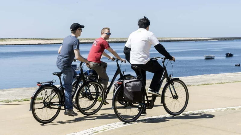 Porto Private E-Bike Tour: Douro River, Parks & Beaches - Key highlights you’ll feel right away