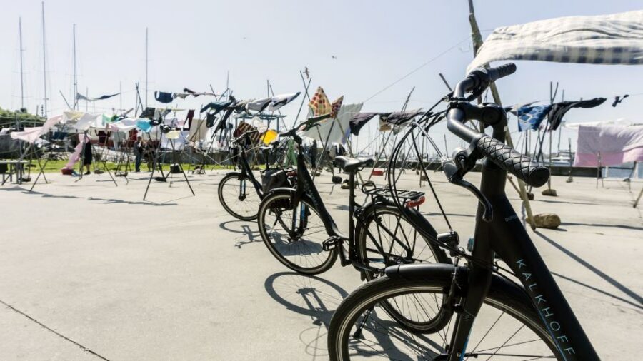 Porto Private E-Bike Tour: Douro River, Parks & Beaches - The Foz-to-coast stretch: ocean breeze and classic viewpoints