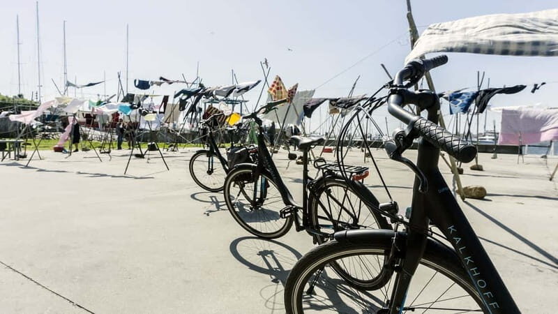 Porto Private E-Bike Tour: Douro River, Parks & Beaches - Matosinhos to the big parks: breathing room on two wheels