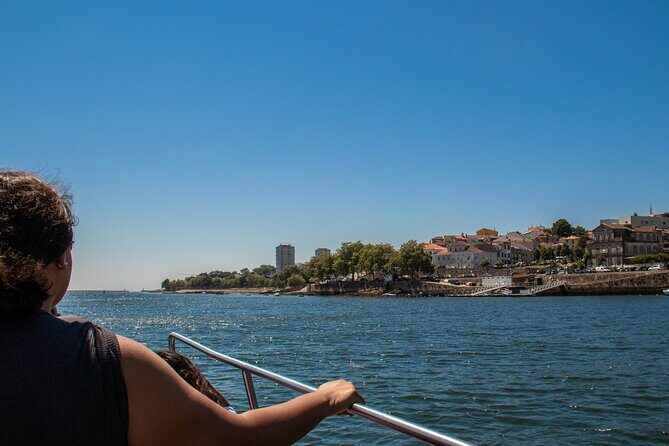 Porto Six Bridges Panoramic Cruise on the Douro River - The bridge-by-bridge route: what each stop means for your photos