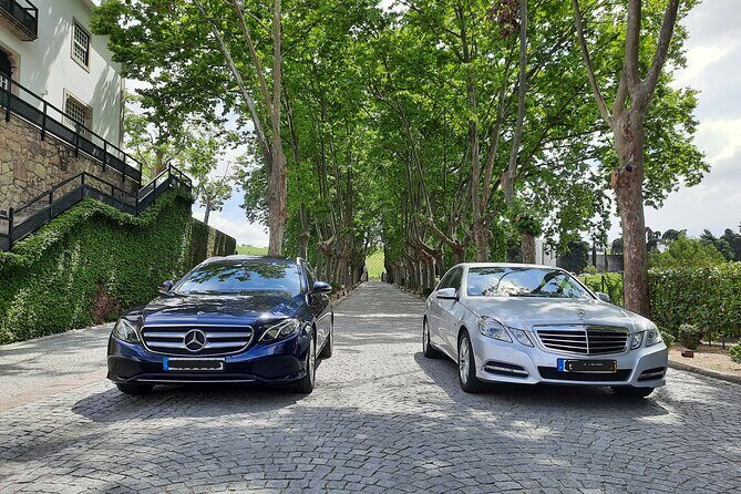 Porto to/from Douro Valley (1-8 pax) Private Transfer in Mercedes - Mercedes E-Class vs. Mercedes Vito: Comfort You’ll Feel