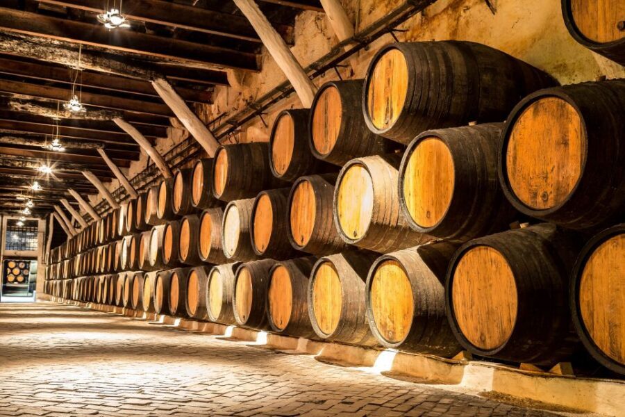 Porto: Tuk-Tuk Tour, Douro River Cruise, and Wine Tasting - Quick Practical Tips That Make the Day Go Smoother