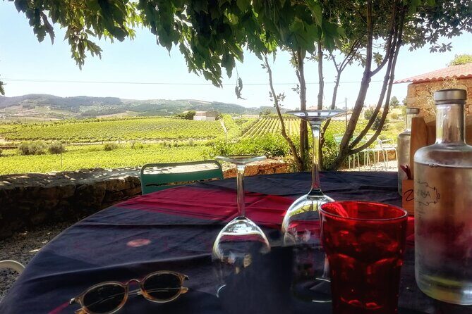 Premium Douro Valley Small-Group Tour, Wine Tasting, Lunch & Boat - Pinhão by Boat: The One-Hour Wooden-Cruise Reset