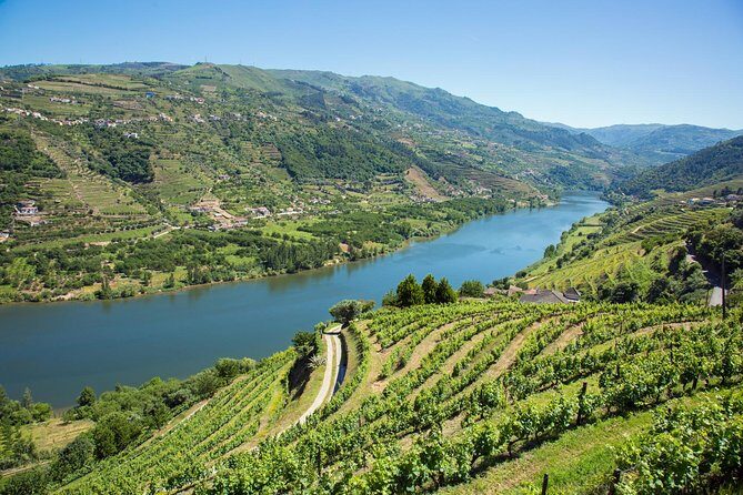 Premium Douro Valley Small-Group Tour, Wine Tasting, Lunch & Boat - The Tour’s Best Value: Why This Mix Works for Most People