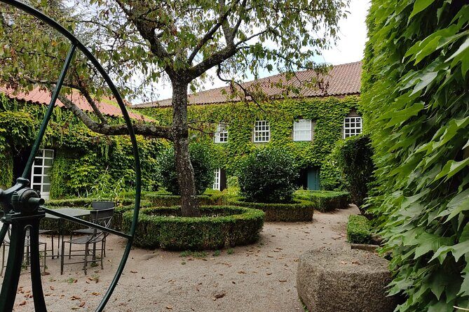 Premium Douro Valley Small-Group Tour, Wine Tasting, Lunch & Boat - Casa dos Barros: Lunch with a View and Real Menu Choices
